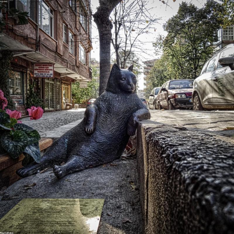 Dainty Gold Chain Anklet